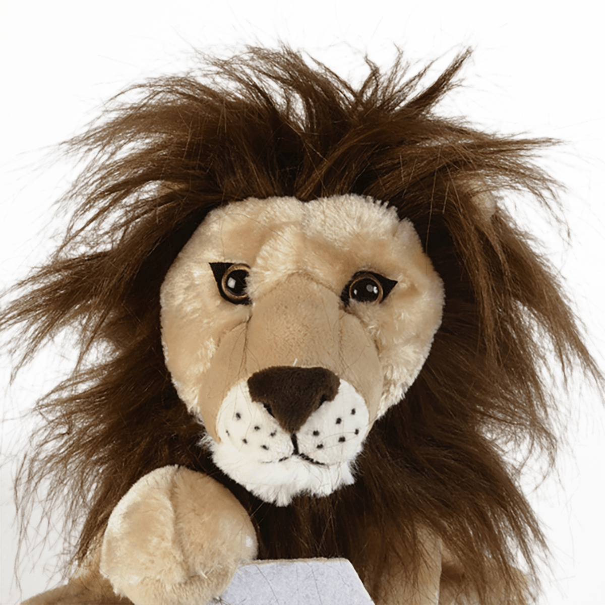 La Marzocco Lion Plush Stuffed Toy